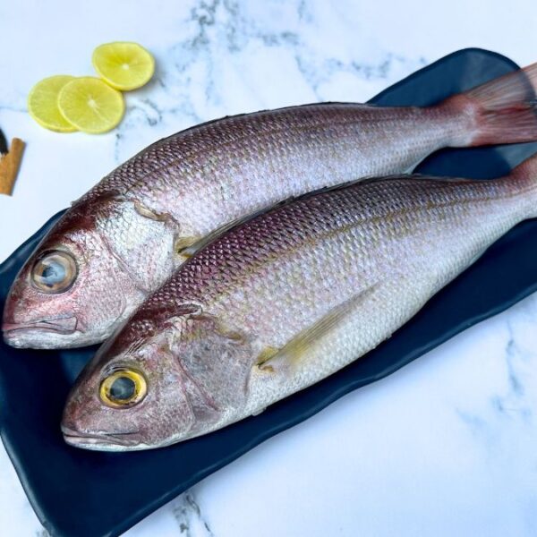 Kendal Fish