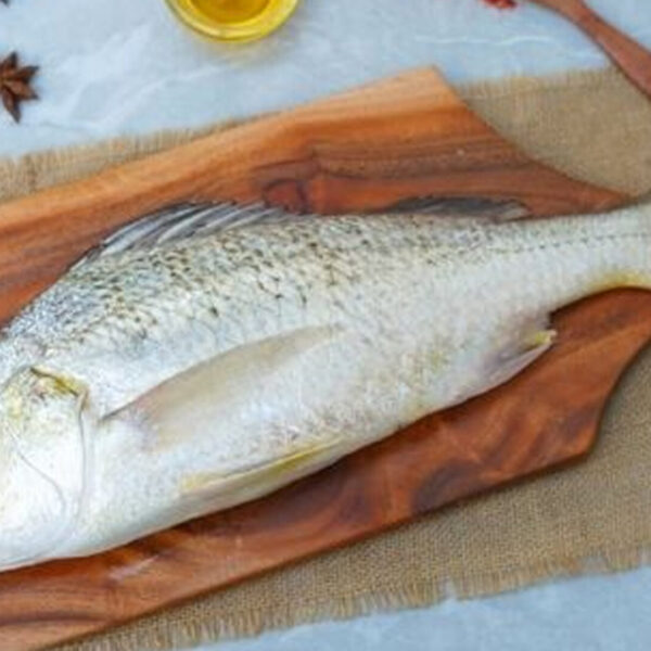 Perch/ Korkai / White Koduva