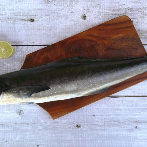 Butter Fish / Kadal Viral / Cobia fish