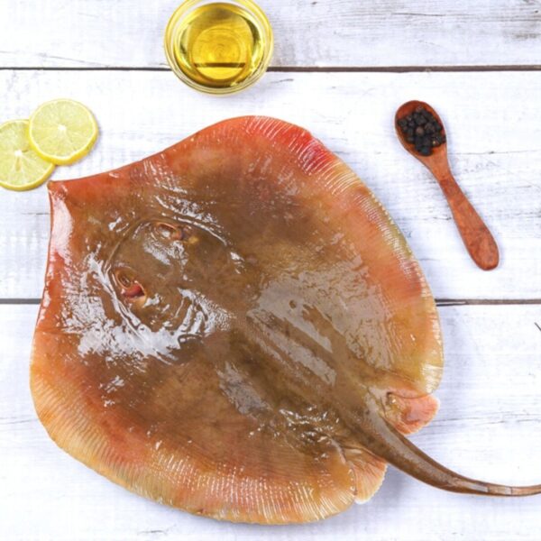 Ray Fish / Slice