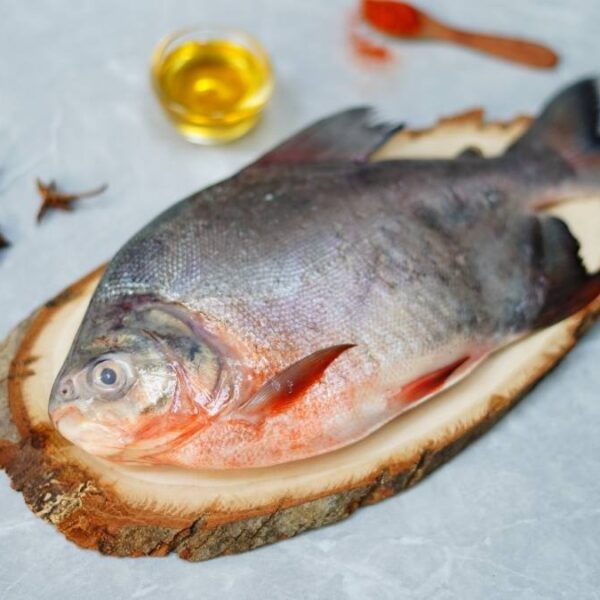 River Pomfret